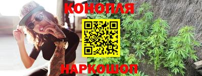 СК Обь